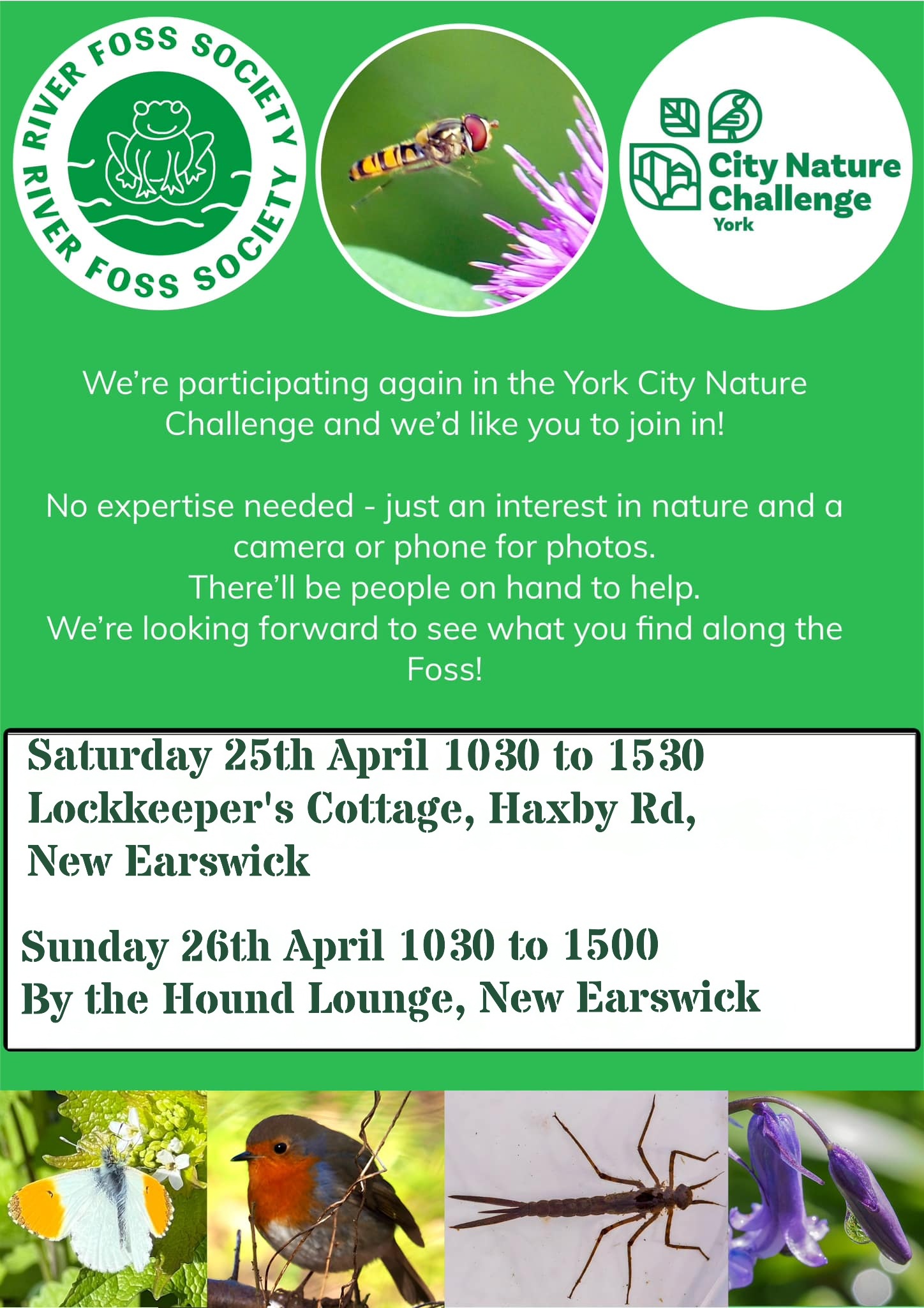 River Foss Society york volunteers cleaning river