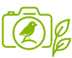 protect
